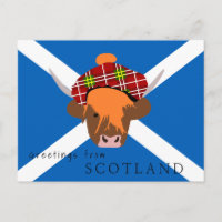 Scottish Highland cow with tartan cap and flag