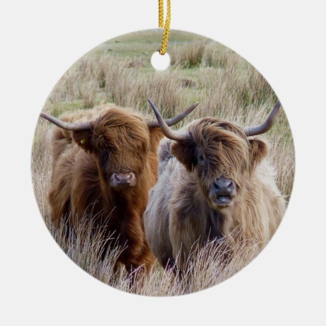Scottish Highland Cows Ceramic Tree Decoration (Front)