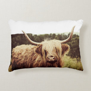 Scottish Highland Long Haired Cow Decorative Cushion