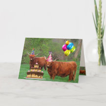 Scottish Highland Steer Party Birthday