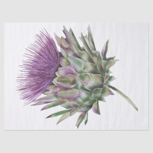Scottish Highland Thistle Watercolor Tissue Paper (Front)