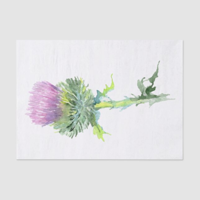 Scottish Highland Thistle Watercolor Tissue Paper (Front)