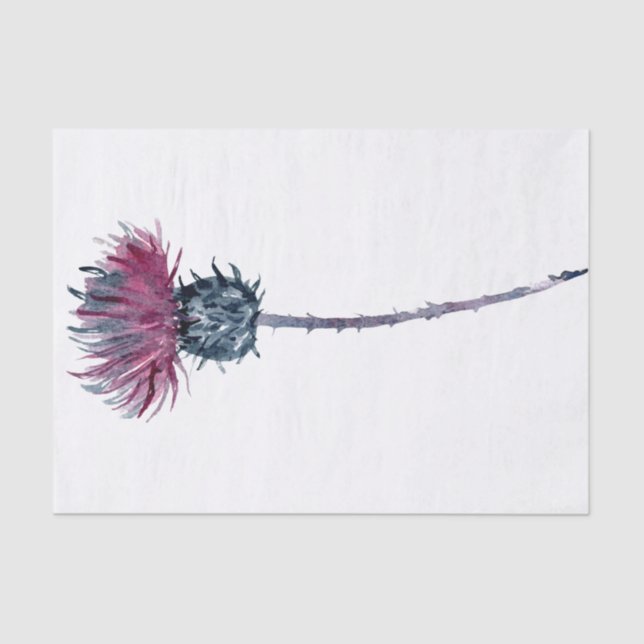 Scottish Highland Thistle Watercolor Tissue Paper (Front)