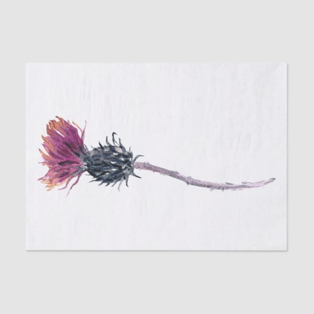 Scottish Highland Thistle Watercolor Tissue Paper (Front)