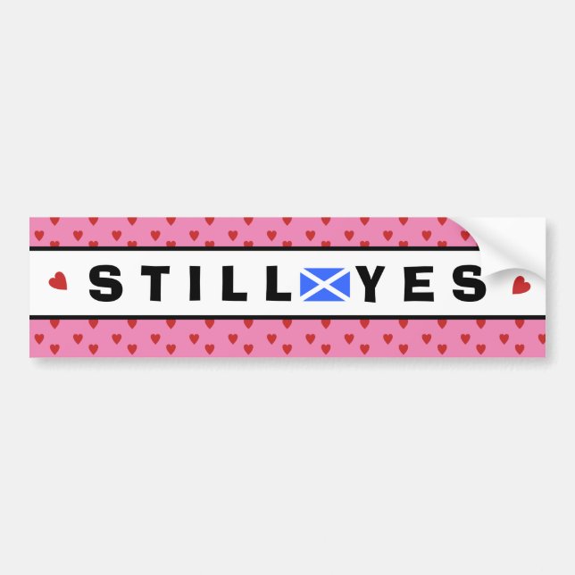 Scottish Independence Pink Still Yes Bumper Sticker (Front)