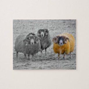 Scottish Rams Jigsaw Puzzle