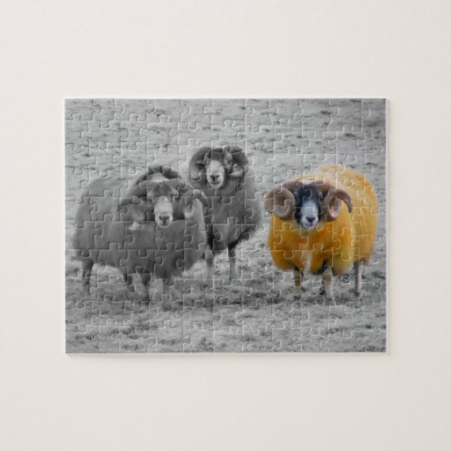 Scottish Rams Jigsaw Puzzle (Horizontal)