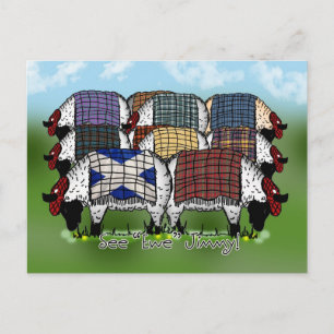Scottish Sheep Postcard - See Ewe Jimmy