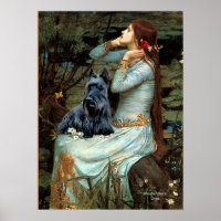 Scottish Terrier 2 - Ophelia Seated