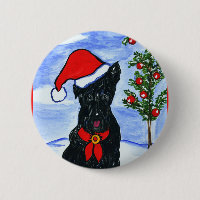 Scottish Terrier