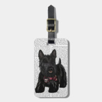 Scottish Terrier and Bow
