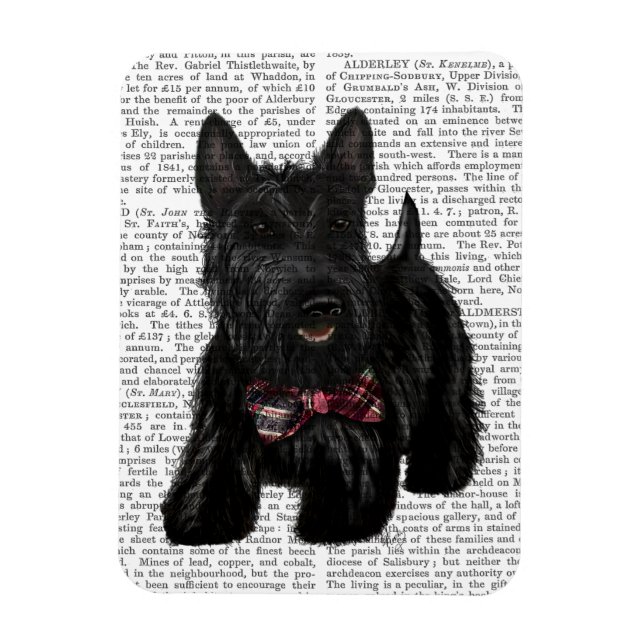Scottish Terrier and Bow Magnet (Vertical)