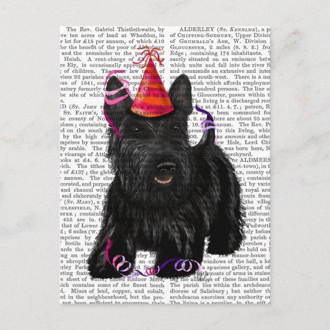 Scottish Terrier and Party Hat Postcard (Front)