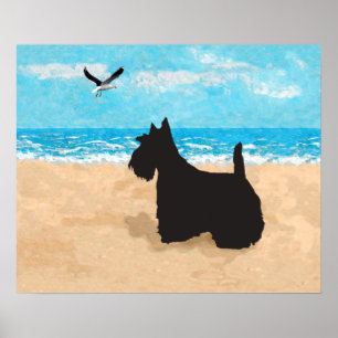 Scottish Terrier and Seagull Poster