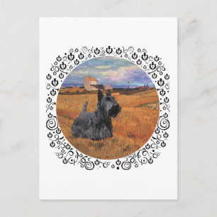 Scottish Terrier at Harvest Time Postcard