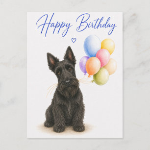 Scottish Terrier Birthday Postcard