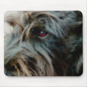 Scottish Terrier, black, close up head and eye Mouse Pad
