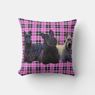 Scottish Terrier black/wheaten, baby pink plaid Cushion
