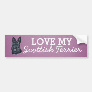 Scottish Terrier Bumper Sticker