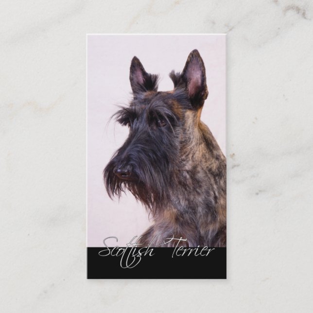 Scottish Terrier Business Cards (Front)