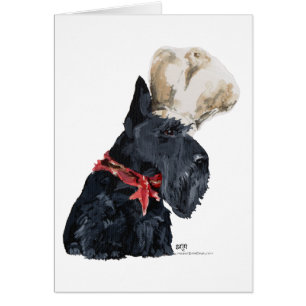 Scottish Terrier Chef