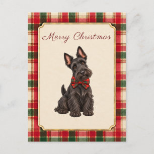 Scottish Terrier Christmas Bow Tie Postcard