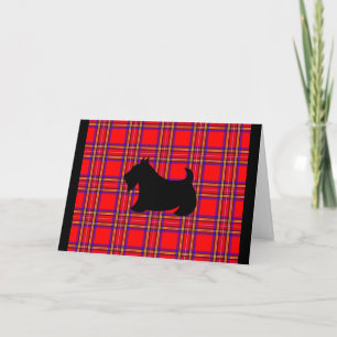 Scottish Terrier Christmas Card