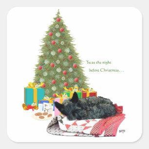 Scottish Terrier Christmas Nap Square Sticker