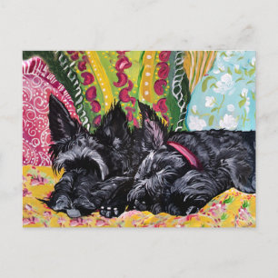 Scottish Terrier Cottage Postcard