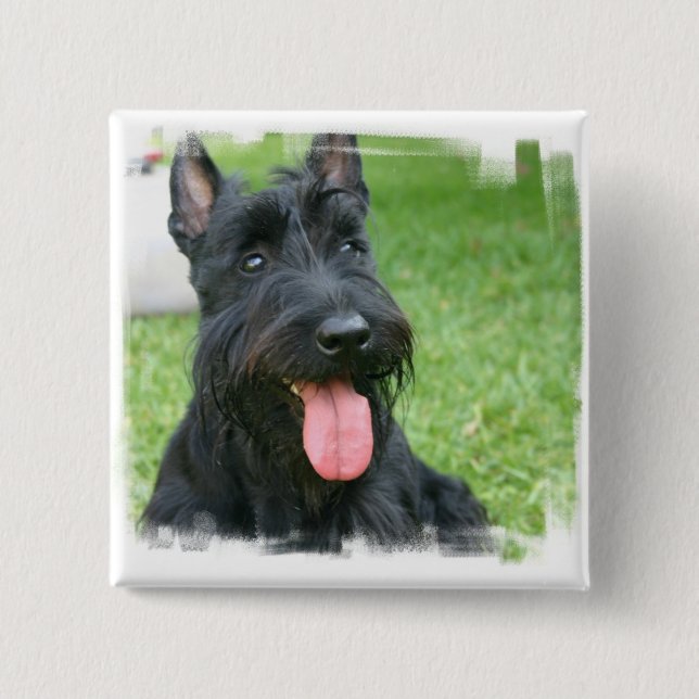 Scottish Terrier Dog Button (Front)