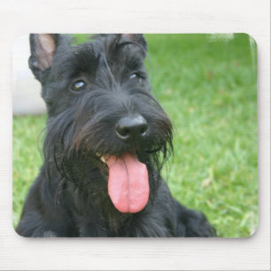 Scottish Terrier Dog Mouse Pad