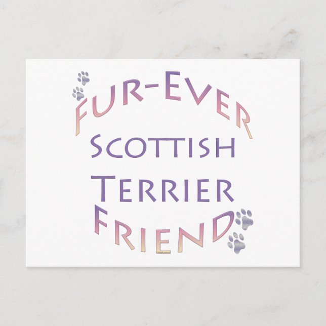 Scottish Terrier Furever Friend Postcard (Front)