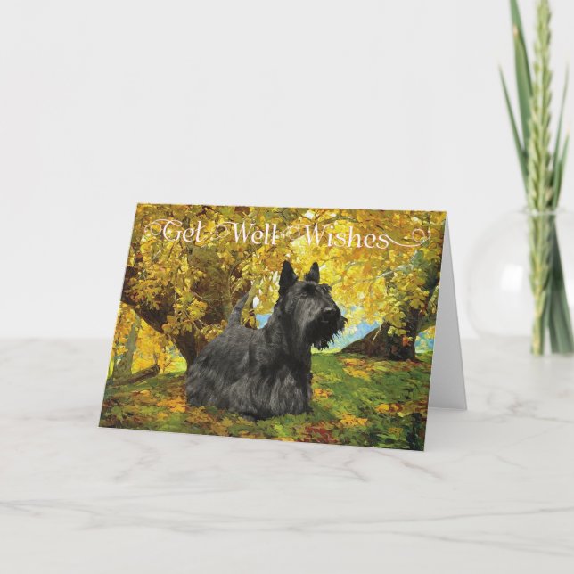 Scottish Terrier Get Well Wishes Card (Front)