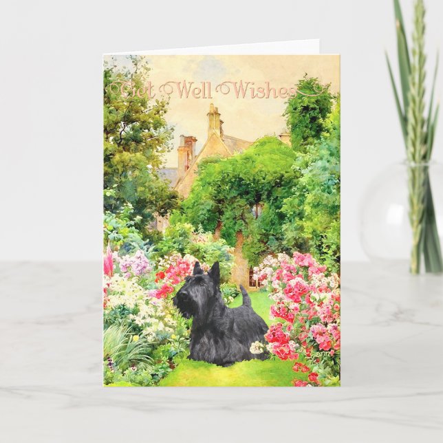 Scottish Terrier Get Well Wishes Card (Front)