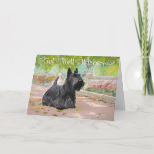 Scottish Terrier Get Well Wishes Card