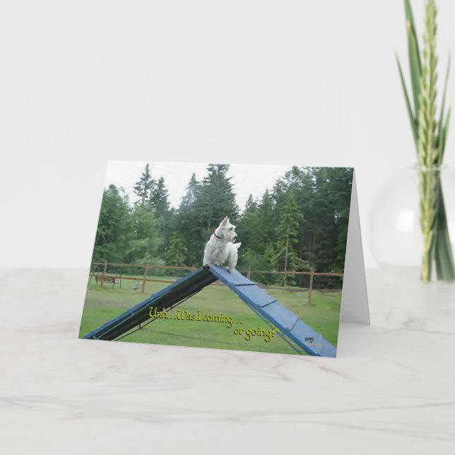 Scottish Terrier Greeting Card (Front)