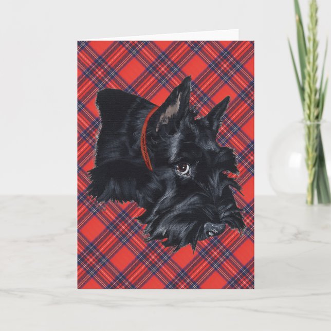 Scottish Terrier Greeting Card (Front)