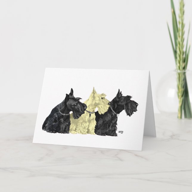 Scottish Terrier Greeting Card (Front)