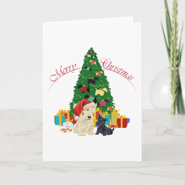 Scottish Terrier Greeting Card (Front)