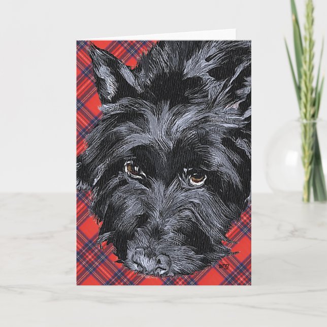 Scottish Terrier Greeting Card (Front)