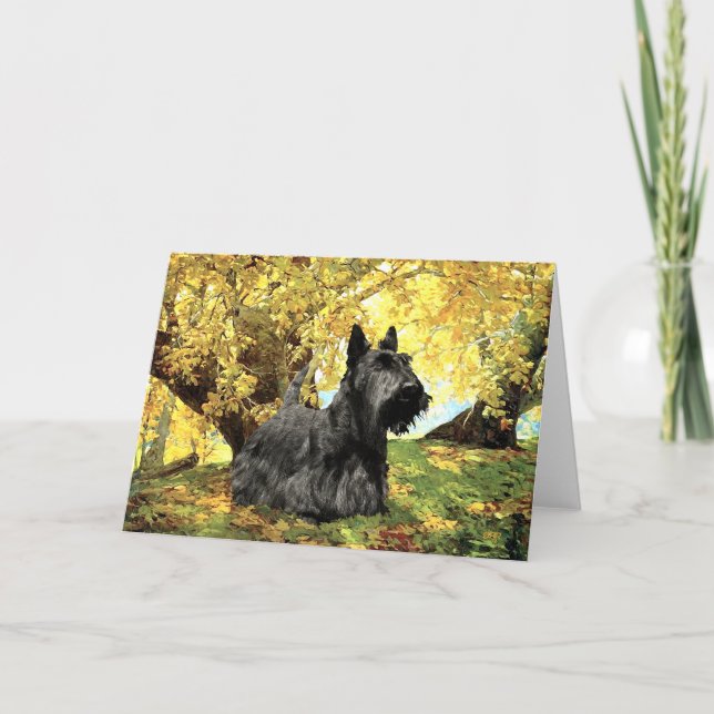 Scottish Terrier Greeting Card (Front)