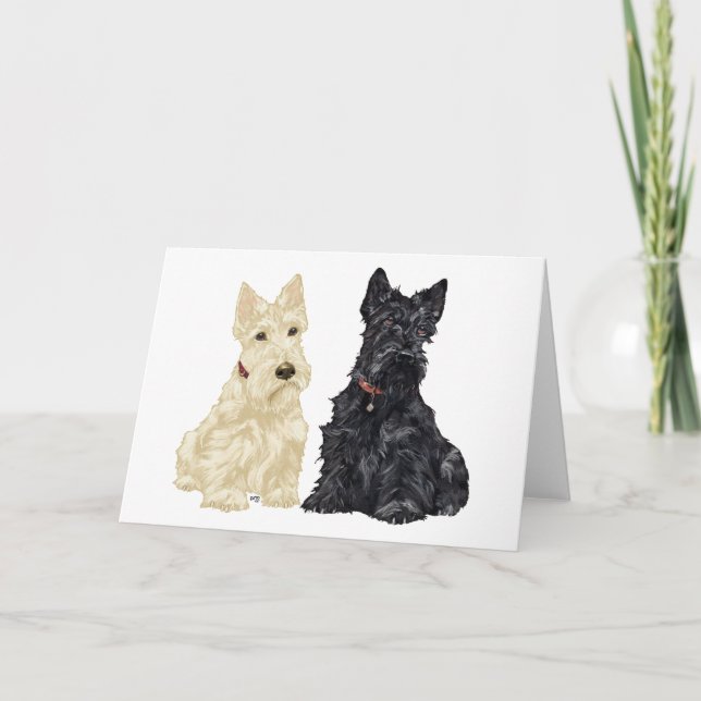 Scottish Terrier Greeting Card (Front)