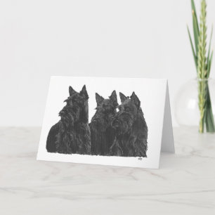 Scottish Terrier Greeting Card