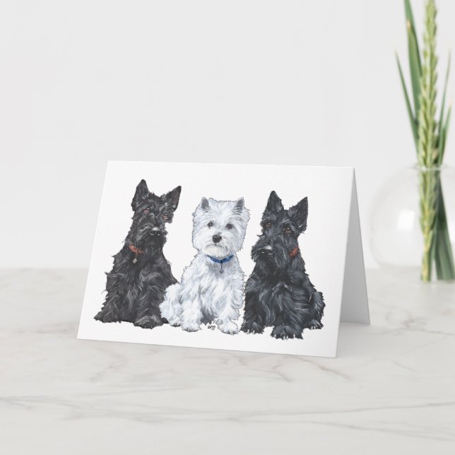 Scottish Terrier Greeting Card (Front)