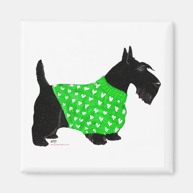 Scottish Terrier in a Sweater Magnet (Front)