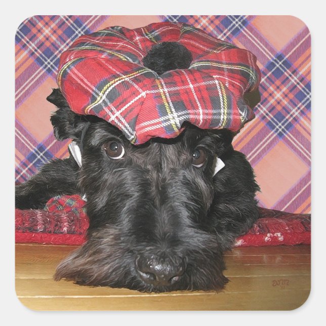 Scottish Terrier in a Tam-o-Shanter Square Sticker (Front)