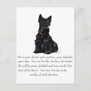 Scottish Terrier Keepsake - FEMALE Postcard