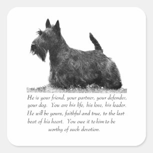 Scottish Terrier Keepsake - MALE Dog Square Sticker