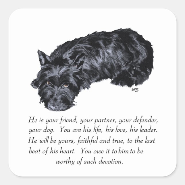 Scottish Terrier Keepsakes - MALE Square Sticker (Front)