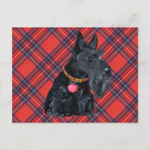 Scottish Terrier Love Postcard